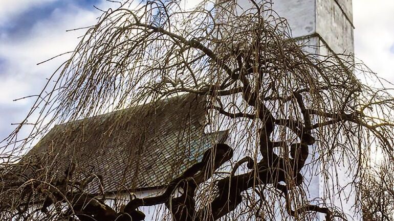 Gammelt trehus med stråtak ved et tre.